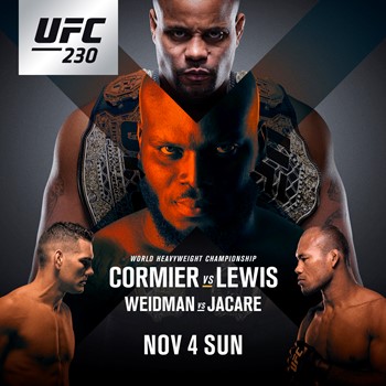 UFC 230