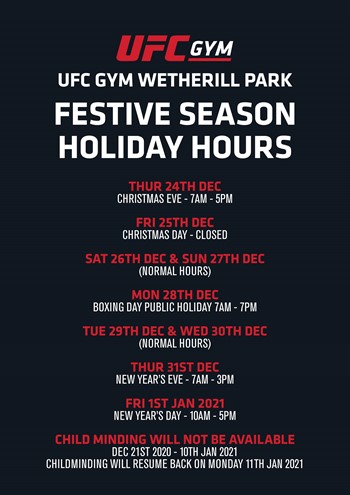 Festive Holiday Season